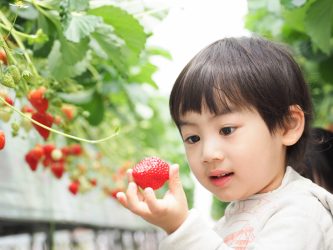 いちご駒ヶ根園