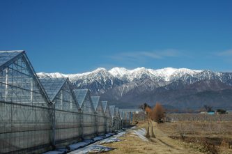 いちご中川園