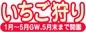 いちご中川園